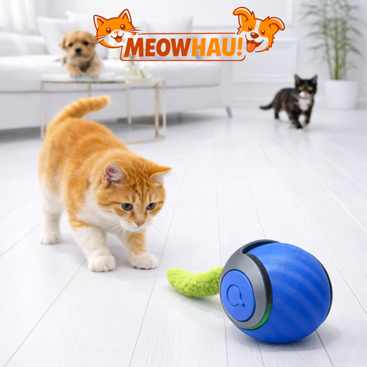 MeowHau™ | Inteligentna Piłka Interaktywna dla Kota (USB)