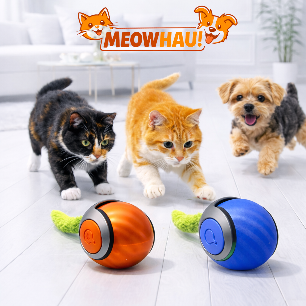 MeowHau™ | Inteligentna Piłka Interaktywna dla Kota (USB)
