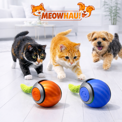 MeowHau™ | Inteligentna Piłka Interaktywna dla Kota (USB)
